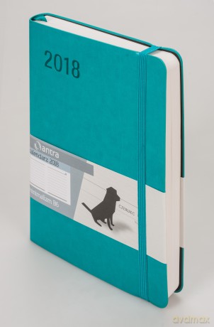 Kalendarz 2018 minimalizm B6 turkus [KALENDARZ]