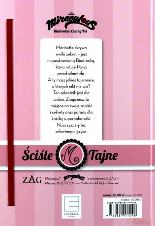 Sekretnik biedronka i czarny kot [KSIĄŻKA]