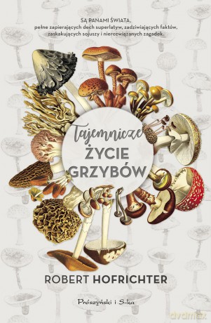 Tajemnicze życie grzybów - Robert Hofrichter [KSIĄŻKA]