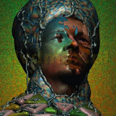Yeasyer: Odd Blood (Limited) [CD]