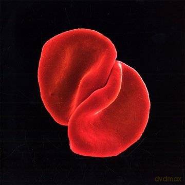 Peter Gabriel: Scratch My Back Limited Edition [CD]