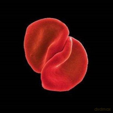 Peter Gabriel: Scratch My Back Limited Edition [2CD]