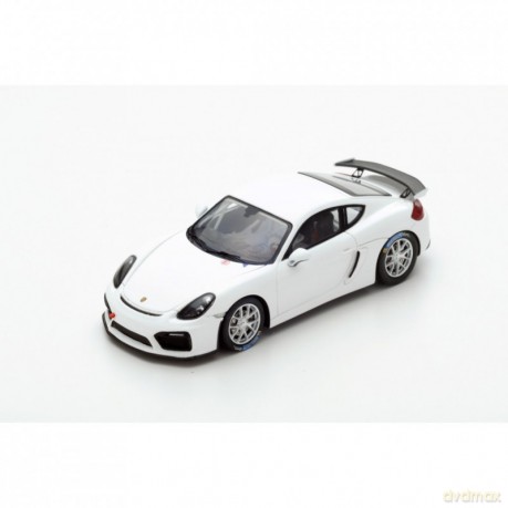 Porsche Cayman GT4 Clubsport 2017