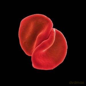 Peter Gabriel: Scratch My Back [CD]