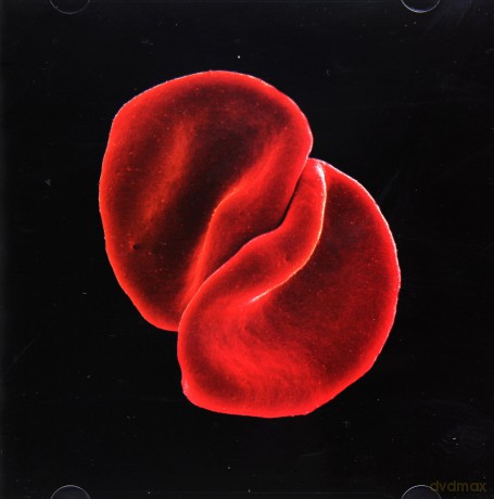 Peter Gabriel: Scratch My Back [CD]