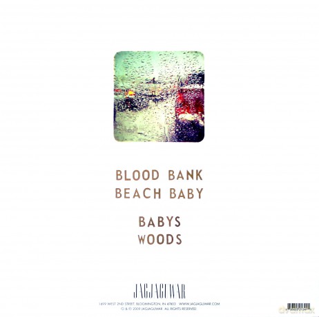 Bon Iver: Blood Bank [Winyl]