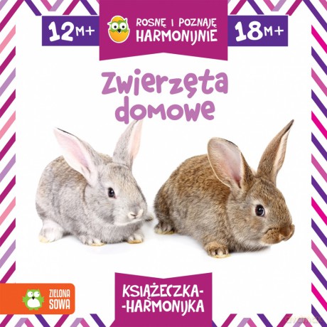 Zwierzęta domowe. Rosnę i poznaję harmonijnie [KSIĄŻKA]