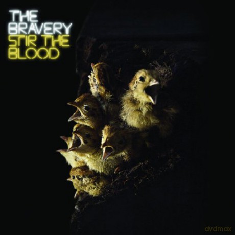 The Bravery: Stir The Blood [CD]