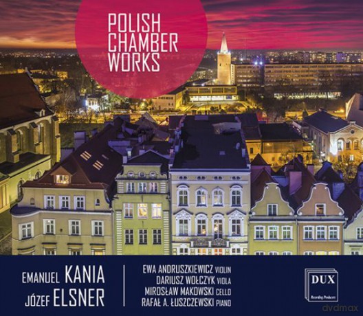 Polish Chamber Works [CD]