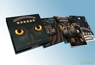 Revolution Saints: Light In The Dark Fanbox [BOX] [Winyl]+[DVD]+[CD]