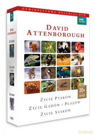David Attenborough - Życie ptaków, życie gadów i płazów, życie ssaków [BOX] [8DVD]