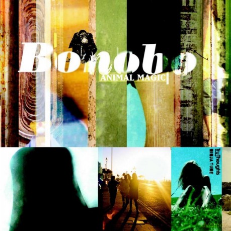 Bonobo: Animal Magic [CD]