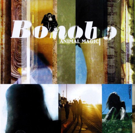 Bonobo: Animal Magic [CD]