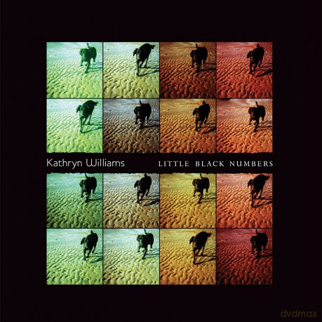 Kathryn Williams: Little Black Numbers [Winyl]