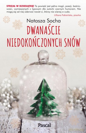 Dwanaście niedokończonych snów - Natasza Socha [KSIĄŻKA]