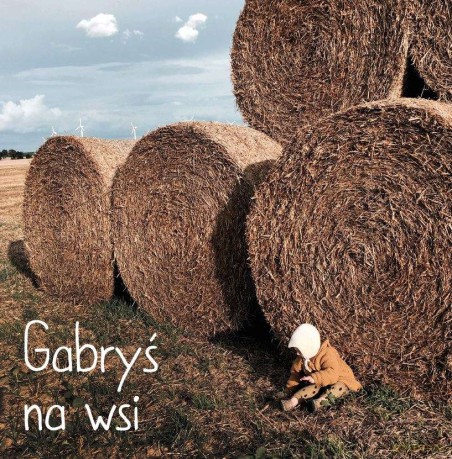 Gabryś na wsi - Agnieszka Starok [KSIĄŻKA]