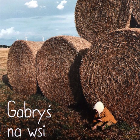 Gabryś na wsi - Agnieszka Starok [KSIĄŻKA]