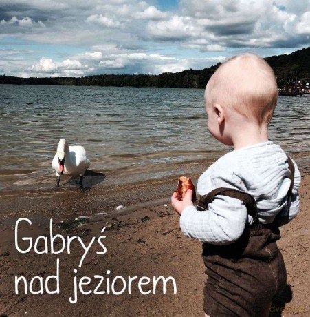 Gabryś nad jeziorem - Agnieszka Starok [KSIĄŻKA]