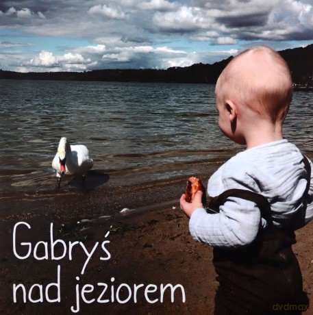 Gabryś nad jeziorem - Agnieszka Starok [KSIĄŻKA]