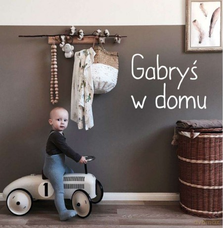 Gabryś w domu - Agnieszka Starok [KSIĄŻKA]