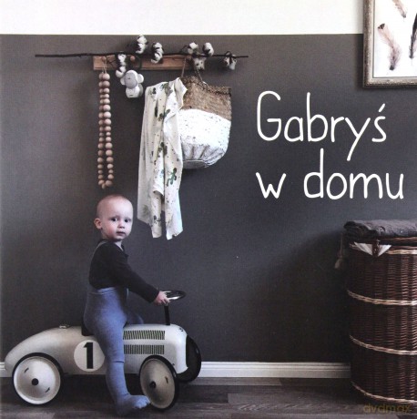 Gabryś w domu - Agnieszka Starok [KSIĄŻKA]