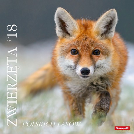 Kalendarz 2018 zwierzęta polskich lasów 30x30 [KALENDARZ]