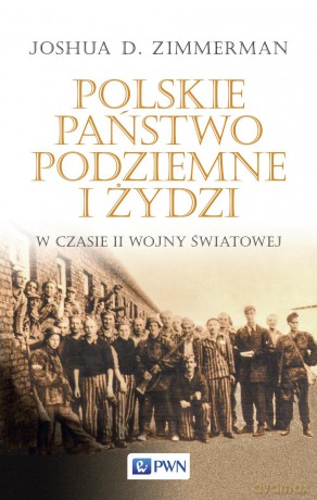 Polskie państwo podziemne i Żydzi w czasie II Wojny Światowej - Joshua D. Zimmerman [KSIĄŻKA]