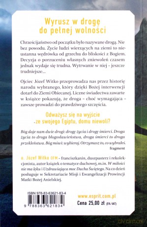 Z Ziemi Egipskiej do Ziemi Obiecanej. Od grzechu do wolności. Droga uzdrowienia wewnętrznego - Józef Witko [KSIĄŻKA]