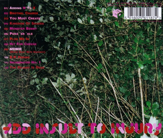 Add N To (X): Add Insult To Injury [CD]
