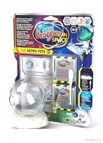 Aqua Dragons in Space zestaw podstawowy