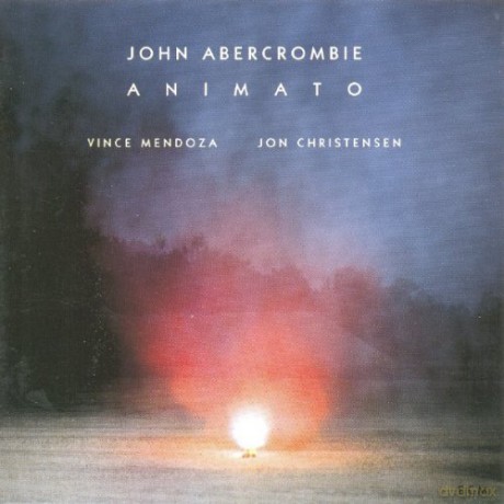 John Abercrombie: Animato [Winyl]