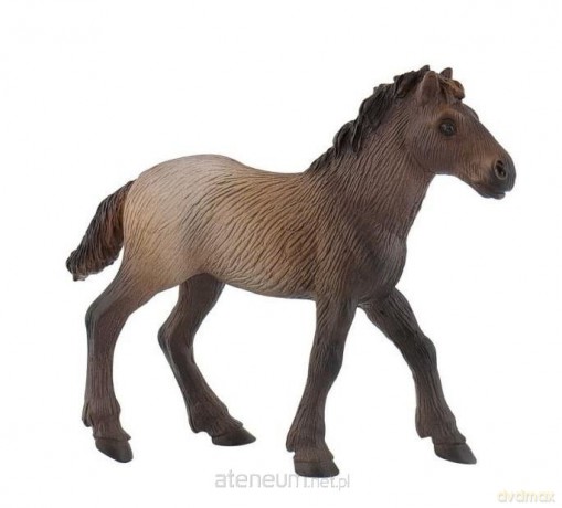 Źrebię rasy Camargue [FIGURKA]