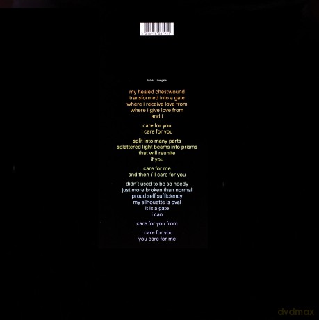 Bjork: The Gate [Winyl]