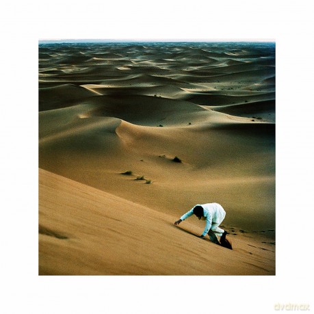 Baxter Dury: Prince Of Tears [Winyl]