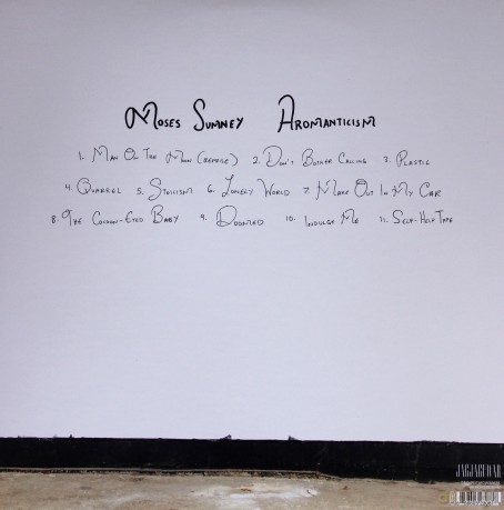 Moses Sumney: Aromanticism [Winyl]