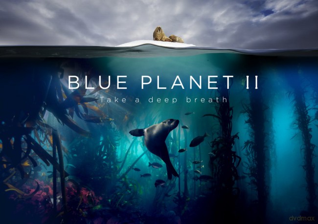 Blue Planet II soundtrack [CD]