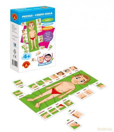 ALEXANDER Części ciała, Zabawa i nauka [PUZZLE]