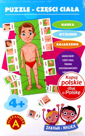 ALEXANDER Części ciała, Zabawa i nauka [PUZZLE]