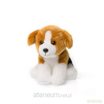 Beagle siedzący 15 cm