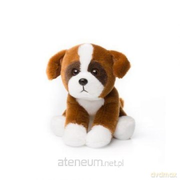 Boxer siedzący 15 cm