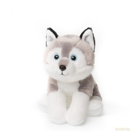 Husky siedzący 15 cm