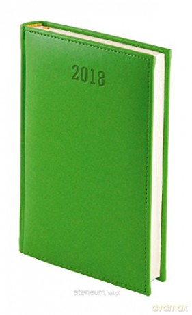 Kalendarz 2019 A4 Nebraska notes tygodniowy seledynowy [KALENDARZ]