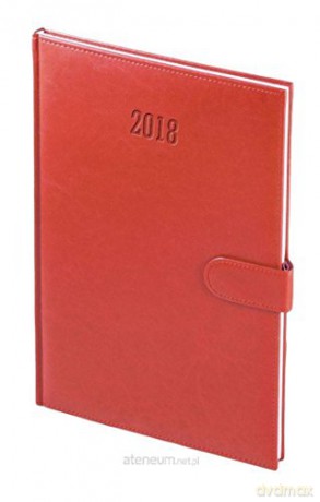 Kalendarz 2019 B5 Nebraska na magnes Dzienny Czerwony [KALENDARZ]