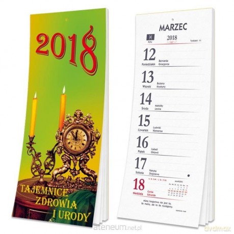 Kalendarz 2018 tygodniowy z magnesem SD1-1 [KALENDARZ]
