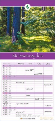 Kalendarz wieloplanszowe 2018 - Malowniczy las [KALENDARZ]