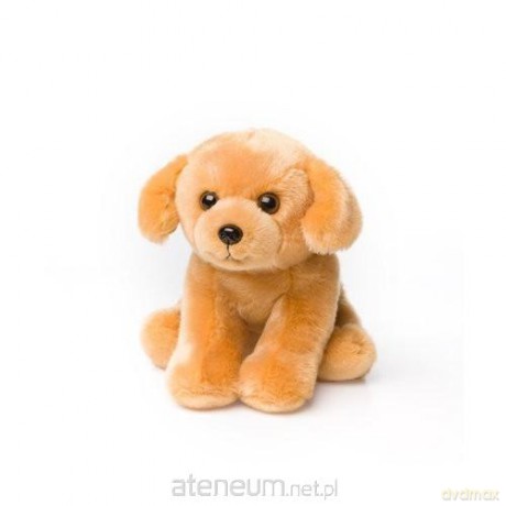 Labrador siedzący 15 cm