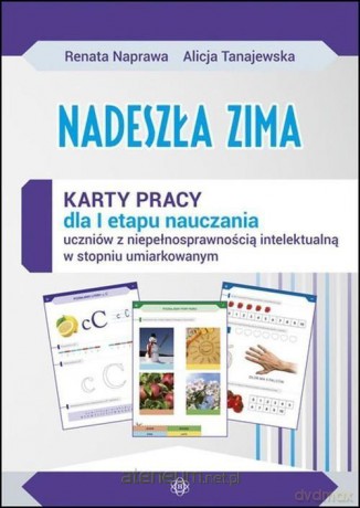 Nadeszła zima Karty pracy sztywna teczka [KSIĄŻKA]