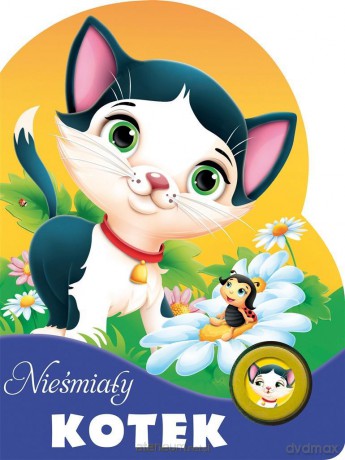 Nieśmiały kotek [KSIĄŻKA]