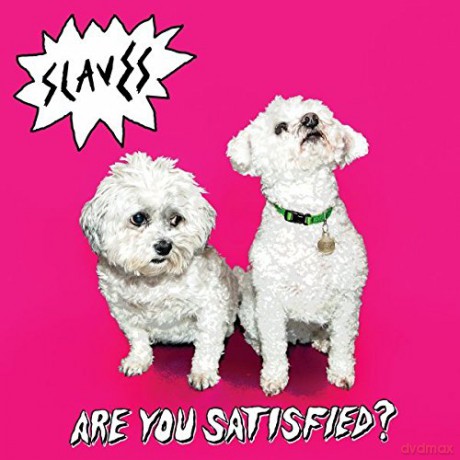Slaves: Are You Satisfied [Winyl]