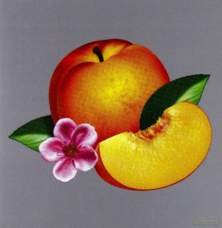 Phoenix: Bankrupt! [CD]